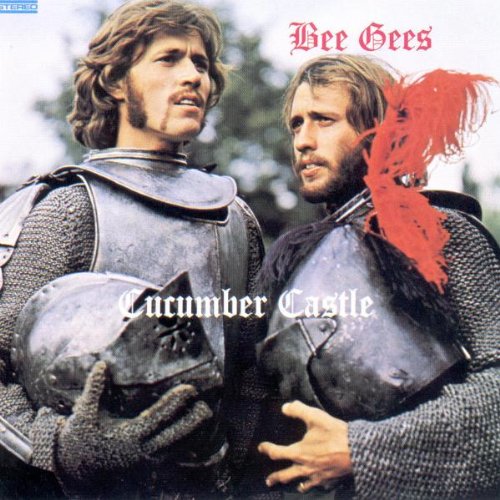 cover: Don't Forget To Remember, Bee Gees, Gitarre