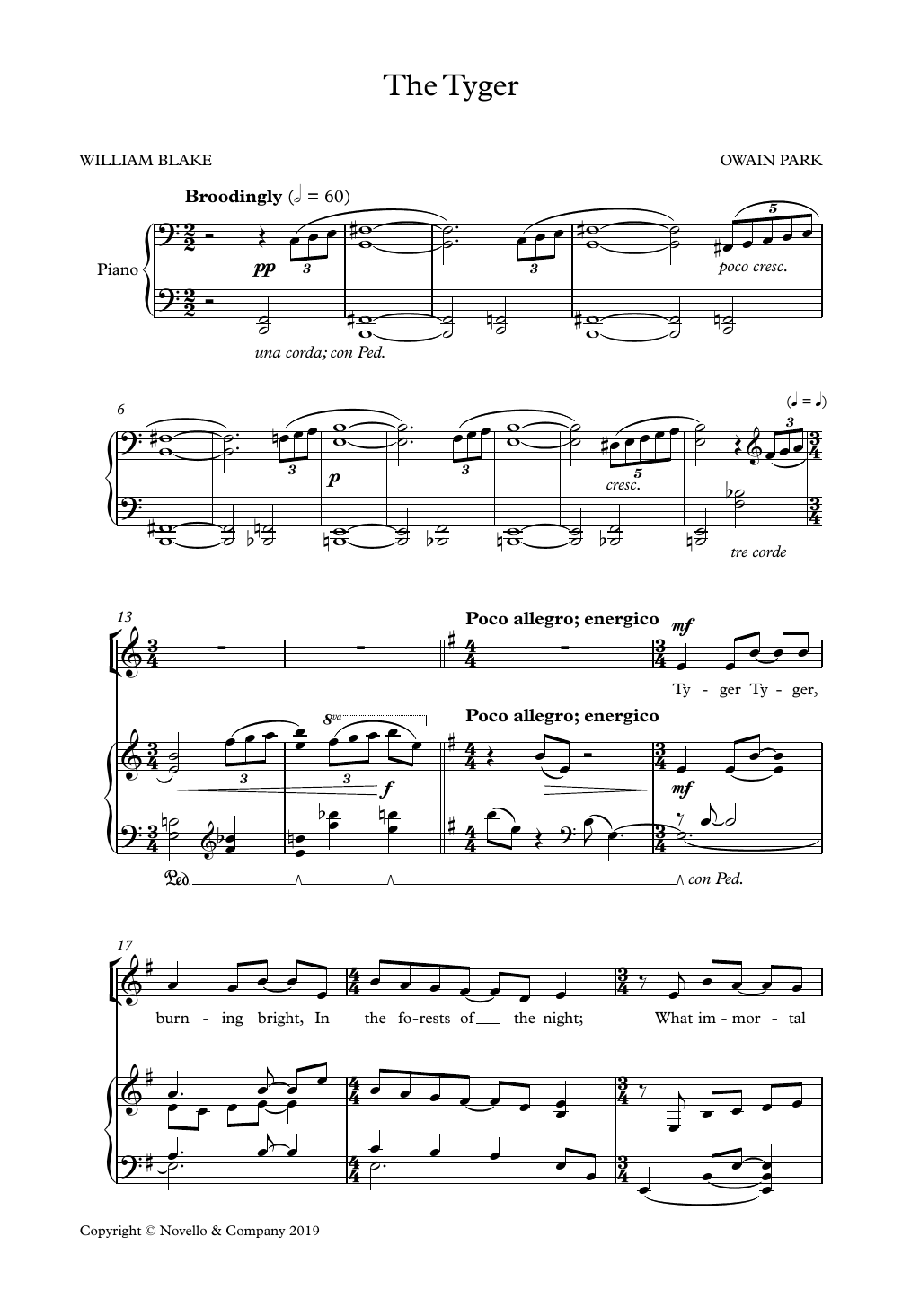 Produktbild zu:  The Tyger - Owain Park