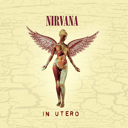 cover: Radio Friendly Unit Shifter, Nirvana