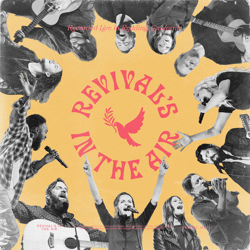 cover: Always Good, Bethel Music & Hannah McClure, Gesang, Gitarre, Klavier