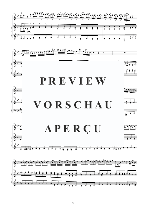 Produktgalerie: Seite 10 von 11 Flute Concerto in G minor, , Flöte und Cembalo