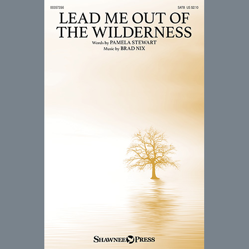 cover: Lead Me Out Of The Wilderness, Pamela Stewart and Brad Nix