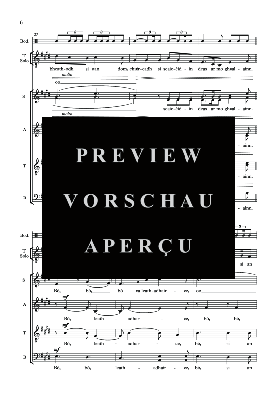 Produktgalerie: Seite 9 von 11 Bó na Leathaidhairce, , Tenor Solo, Gemischter Chor und irische Trommel