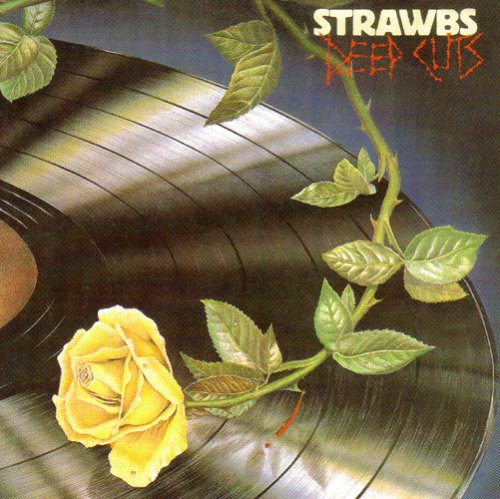cover: I Only Want My Love To Grow In You, The Strawbs, Gesang, Gitarre, Klavier