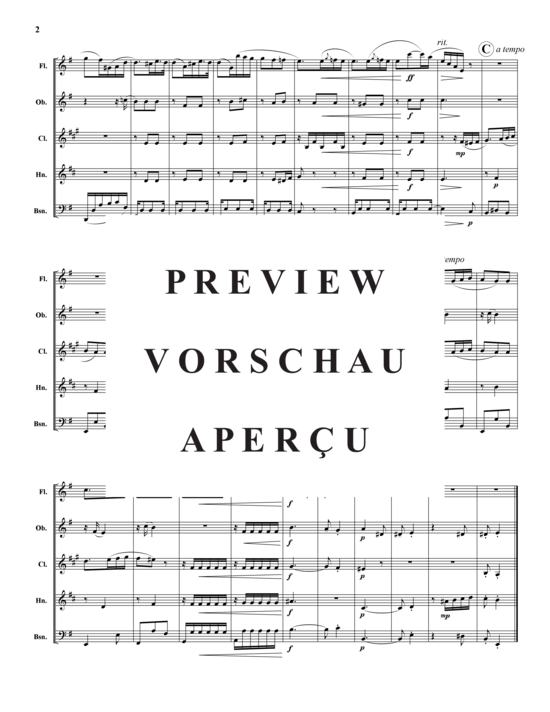 Produktgalerie: Seite 3 von 21 Akvareller – 10 Sätze , , (Holzbläser-Quintett)