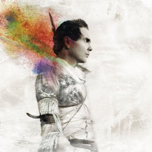 cover: Animal Arithmetic, Jonsi, Gitarre