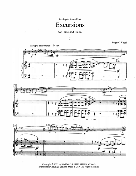 Product picture to: Excursions Roger C. Vogel