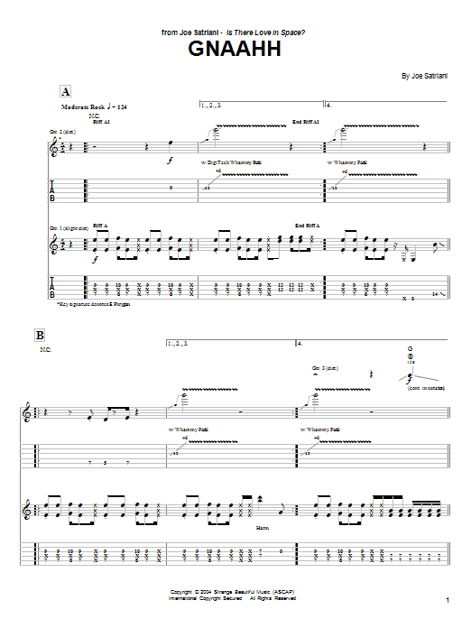 Produktgalerie: Seite 1 von 1 Gnaahh, Joe Satriani, Gitarre