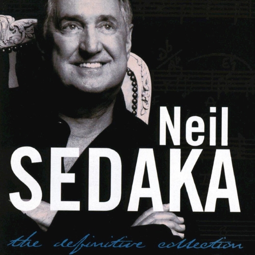 cover: Next Door To An Angel, Neil Sedaka, Gesang, Gitarre, Klavier