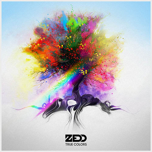 cover: Beautiful Now, Zedd, Gesang, Gitarre, Klavier