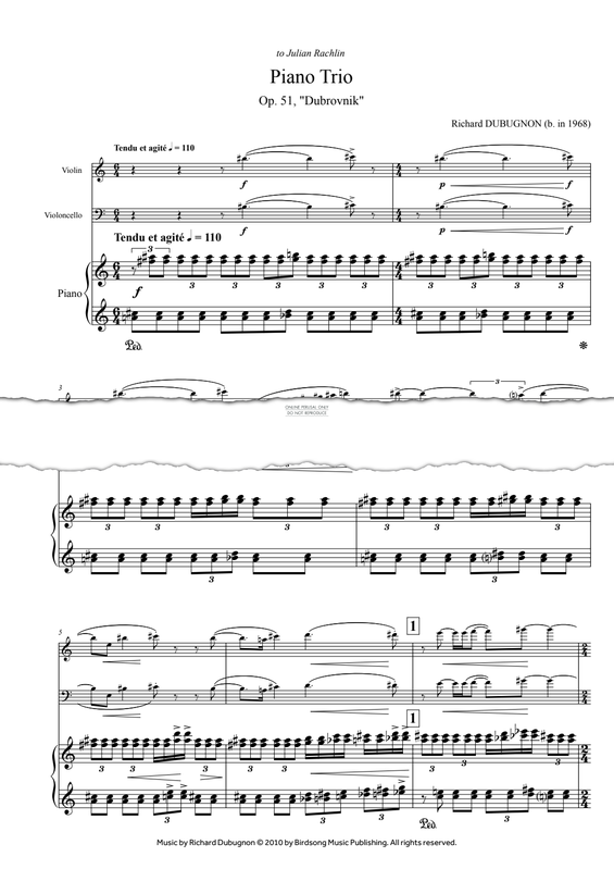 Produktgalerie: Seite 1 von 1 Piano Trio No.1 "Dubrovnik", Richard Dubugnon, Klavier, Violine, Violoncello