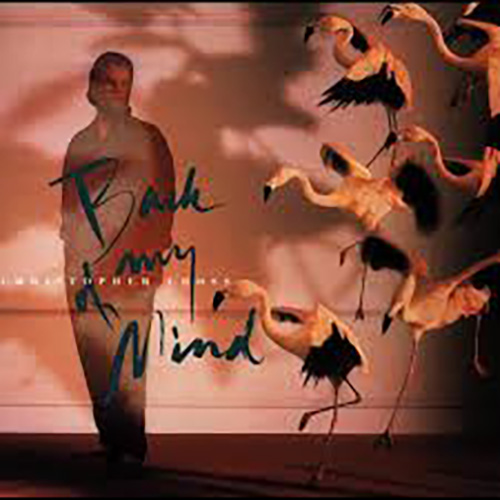 cover: Swept Away, Christopher Cross, Gesang, Gitarre, Klavier