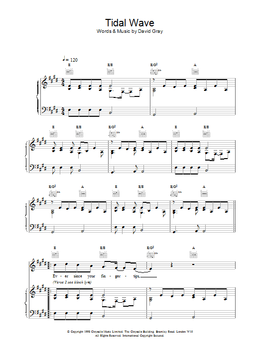Produktgalerie: Seite 1 von 1 Tidal Wave, David Gray, Gesang, Gitarre, Klavier