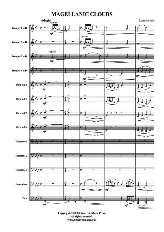 Product picture to: Magellanic Clouds Leon Steward