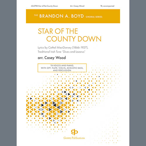 Produktbild zu: Star of the County Down