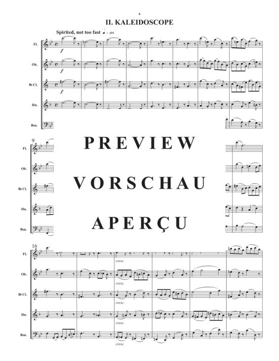 Produktgalerie: Seite 8 von 21 Divertimento for Wind Quintet , , (Holzbläser Quintett)