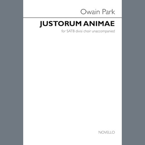 Produktbild zu: Justorum Animae