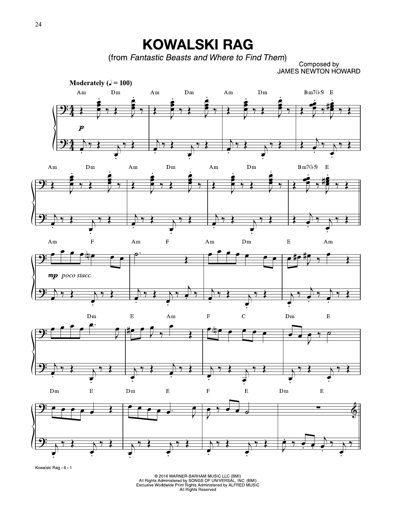 Produktbild zu: Kowalski Rag (from Fantastic Beasts And Where To Find Them)