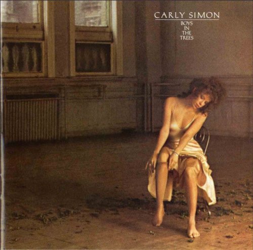 cover: You Belong To Me, Carly Simon, Gitarre