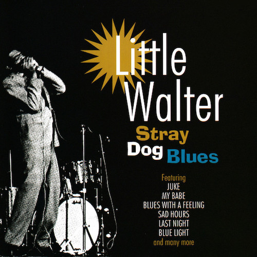 cover: Blues With A Feeling, Walter Jacobs