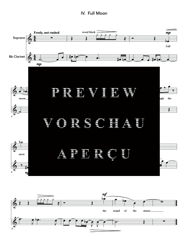Produktgalerie: Seite 11 von 11 From a Crack in the Wall, , (Sopran und Klarinette)