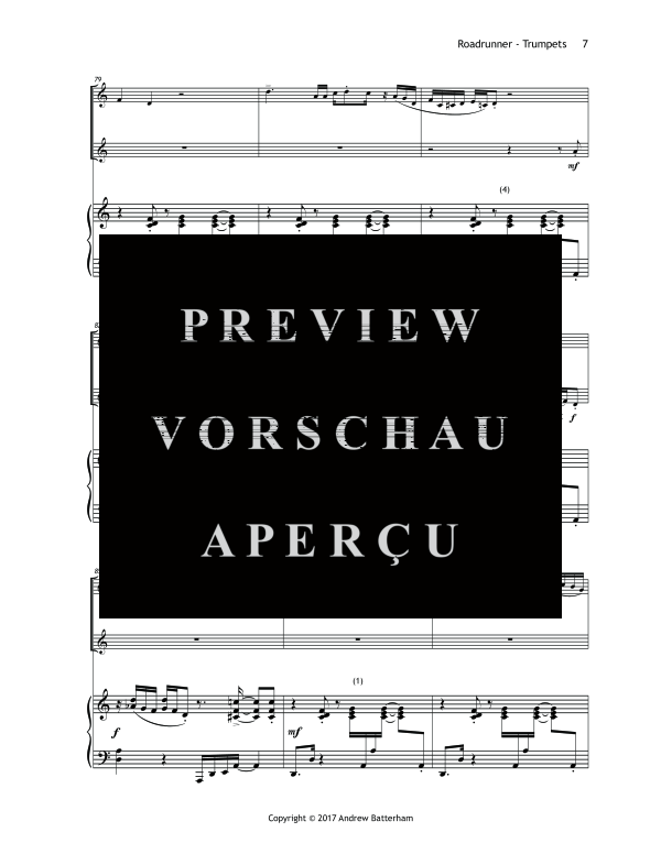 Produktgalerie: Seite 11 von 11 Roadrunner, , (Trio 2 Trompeten und Klavier)