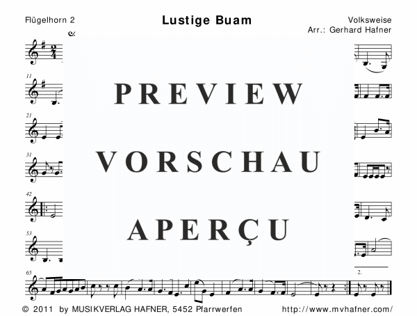 gallery: Lustige Buam, , (woodwind and brass)