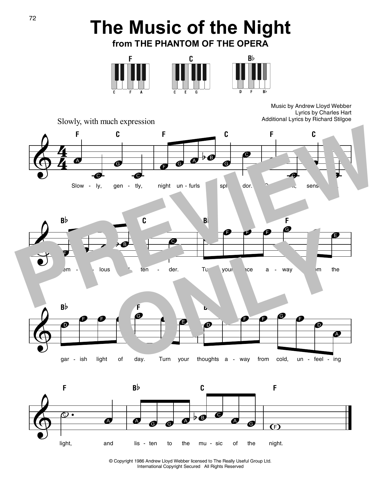 Product picture to: The Music Of The Night (from The Phantom Of The Opera)