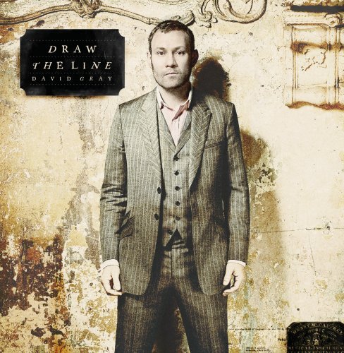cover: Nemesis, David Gray, Gesang, Gitarre, Klavier
