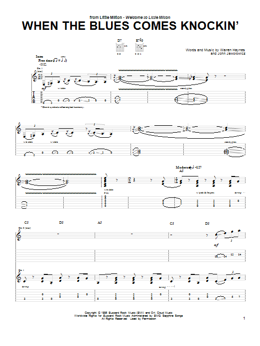 Produktgalerie: Seite 1 von 1 When The Blues Comes Knockin', Warren Haynes, Gitarre
