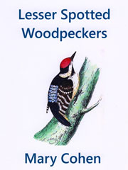 cover: Lesser Spotted Woodpeckers, Mary Cohen, Violine