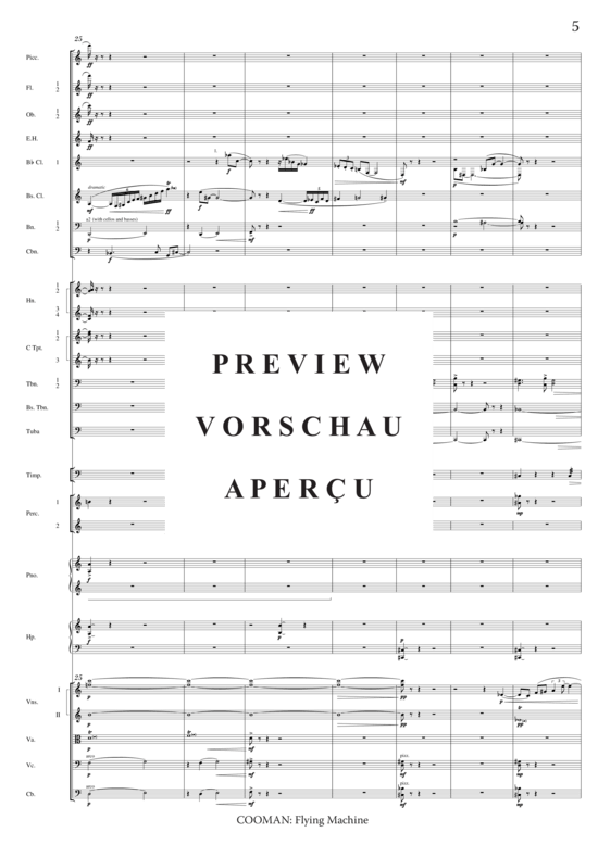 Product gallery: Page 10 of 21 Flying Machine , , (orchestra)