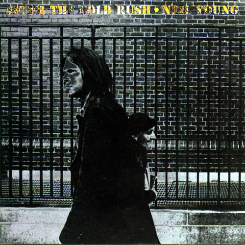 cover: Don't Let It Bring You Down, Annie Lennox, Neil Young
