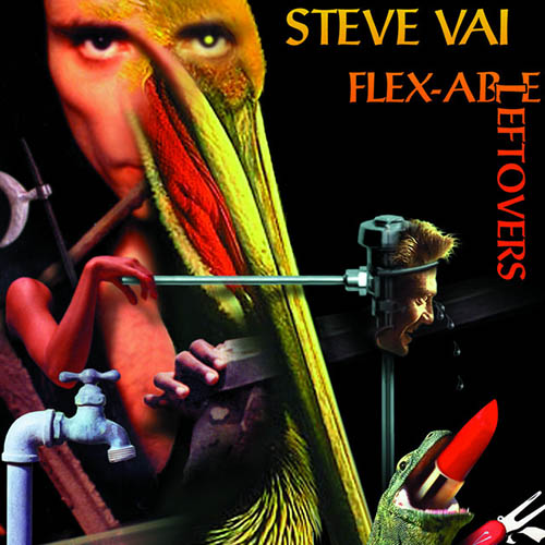 cover: Details At Ten, Steve Vai, Gitarre