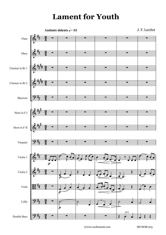 Produktbild zu: Lament for YouthJohn Francis Larchet