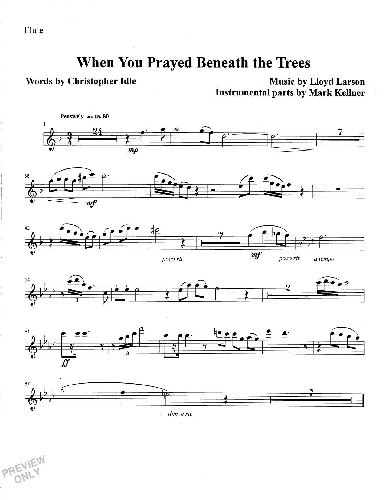 Product picture to: When You Prayed Beneath The Trees - Flute