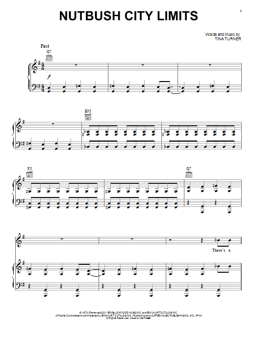 Produktbild zu: Nutbush City Limits