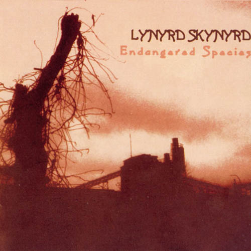 cover: Down South Jukin', Lynyrd Skynyrd