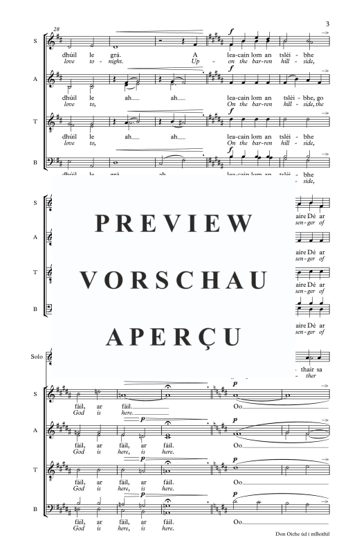 Produktgalerie: Seite 6 von 9 Don Oíche úd I mBeithil, , Gemischter Chor und Sopran Solo