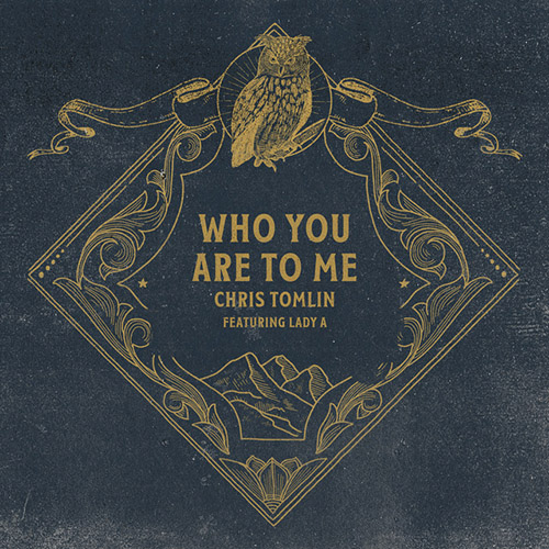 cover: Who You Are To Me (feat. Lady A), Chris Tomlin, Gesang, Gitarre, Klavier