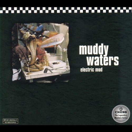 cover: I Just Want To Make Love To You, Muddy Waters, Gesang, Gitarre, Klavier