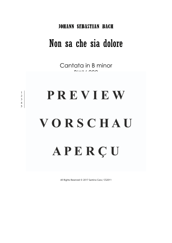 Product gallery: Page 2 of 11 Non sa che sia dolore - Cantata BWV 209, , Mixed Ensemble Soprano, Flute, Strings and Harpsichord Bc