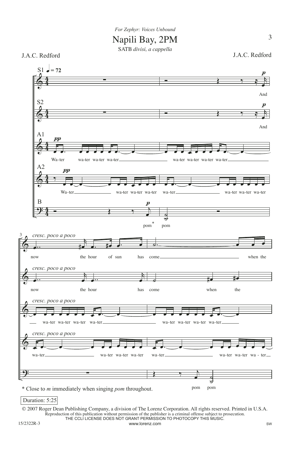 Produktbild zu: Napili Bay, 2PM