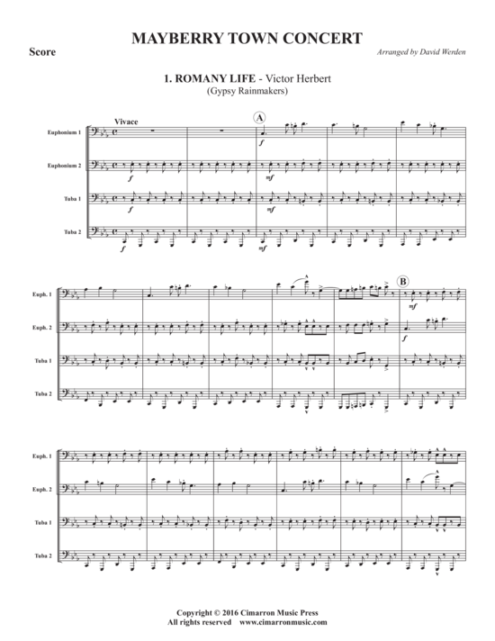 Product picture to: Mayberry Town Concert David Werden