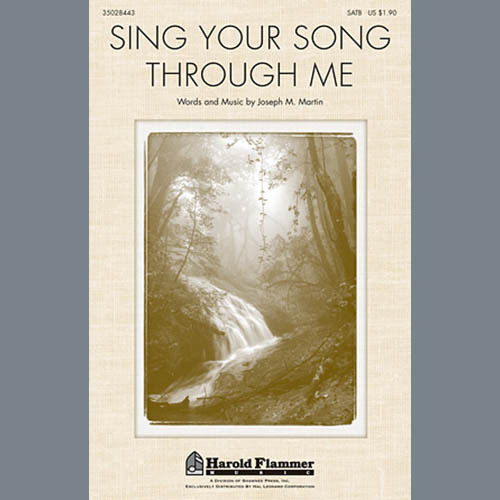 cover: Sing Your Song Through Me, Joseph M. Martin, Chor