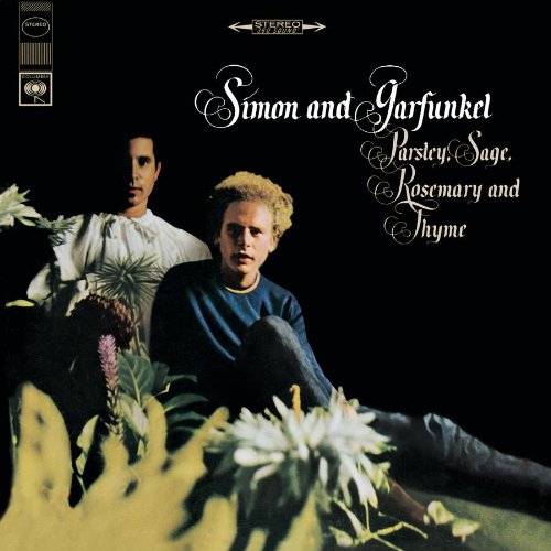 cover: Flowers Never Bend With The Rainfall, Simon & Garfunkel, Gitarre