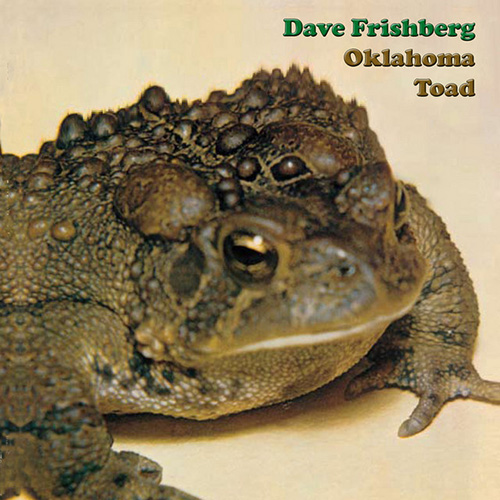 cover: Van Lingle Mungo, Dave Frishberg, Gesang, Gitarre, Klavier