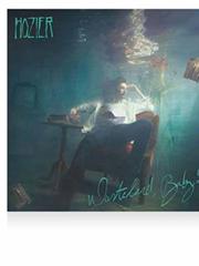 cover: Someone New, Hozier