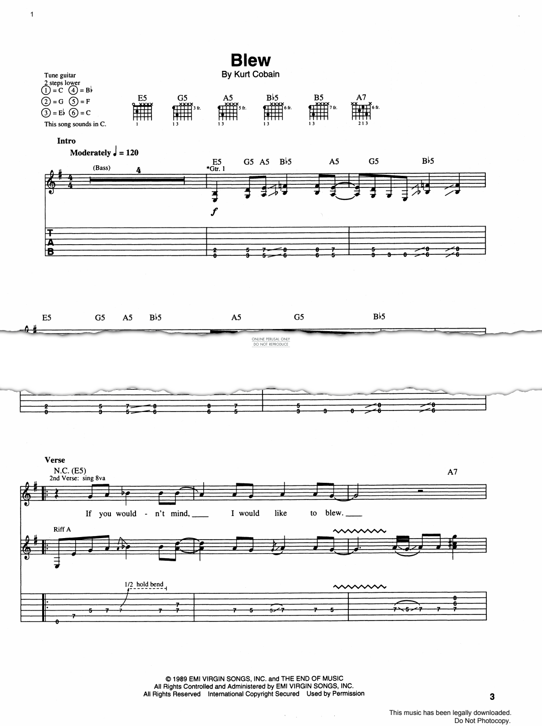 Produktgalerie: Seite 1 von 1 Blew, Nirvana, Gesang, Gitarre