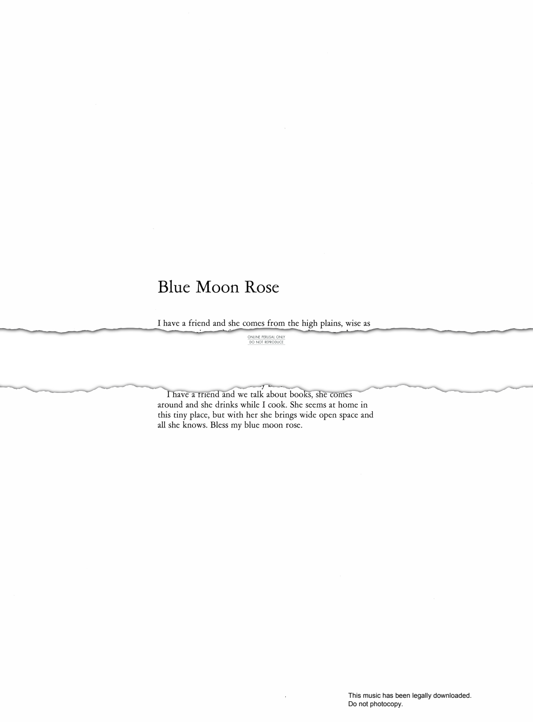 Product picture to: Blue Moon Rose